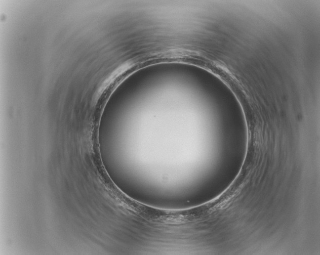 X0000059101410200510172108