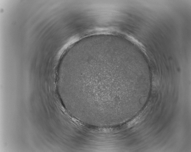 X0000059101411200510172108