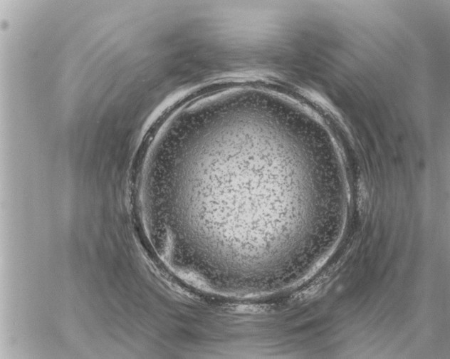 X0000059101412200510172108