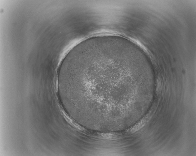 X0000059101413200510172108