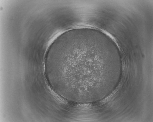 X0000059101415200510172108