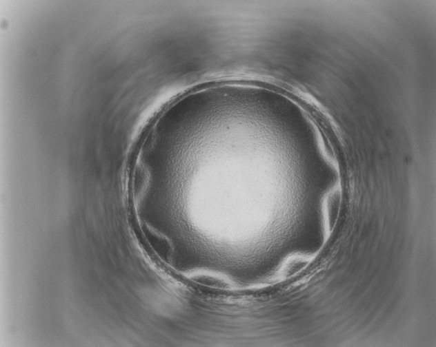 X0000059101416200510172108