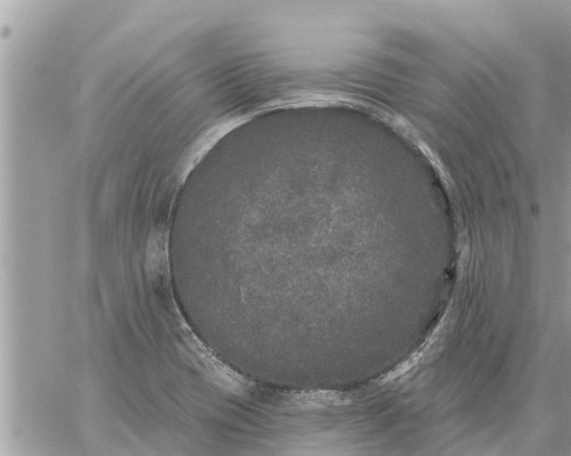 X0000059101417200510172108