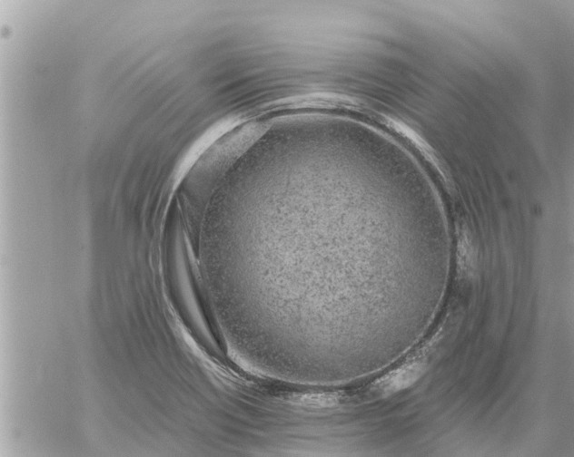 X0000059101418200510172108