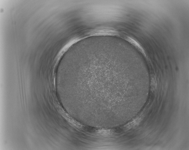 X0000059101419200510172108