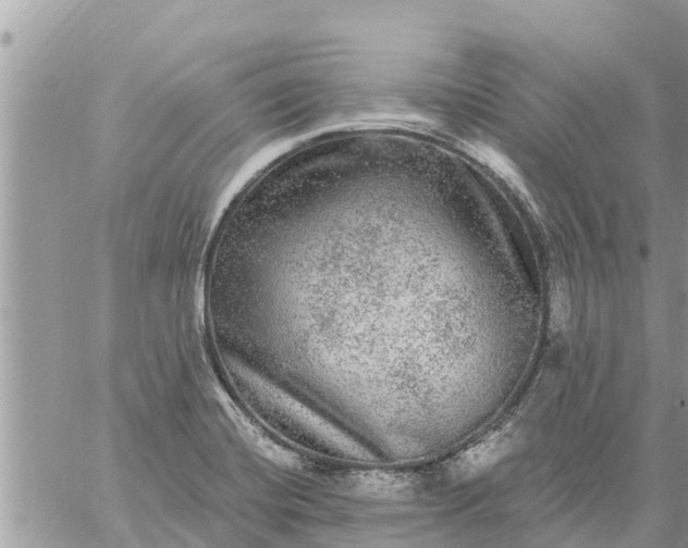 X0000059101420200510172108