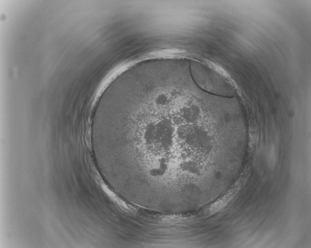 X0000059101421200510172108