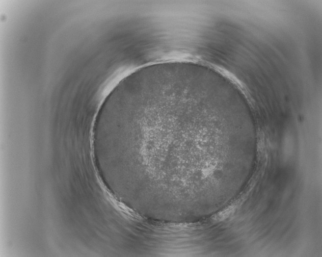 X0000059101423200510172108