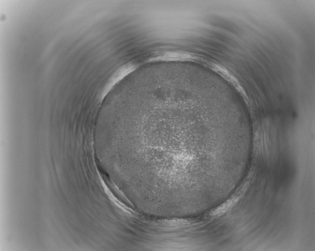 X0000059101425200510172108