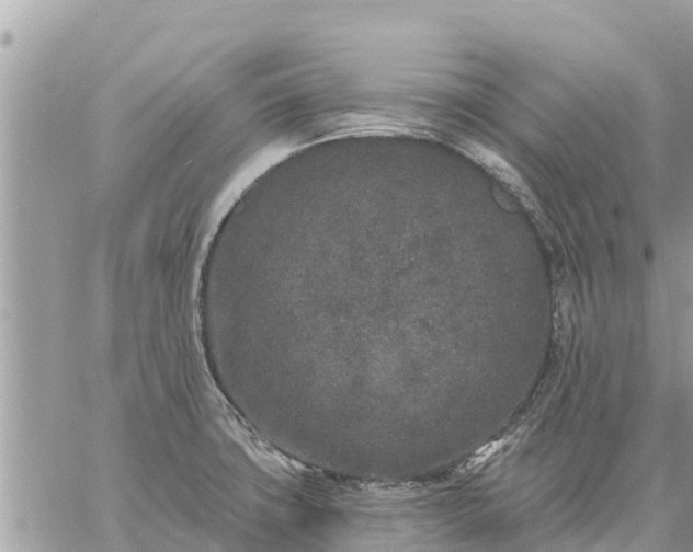 X0000059101427200510172108