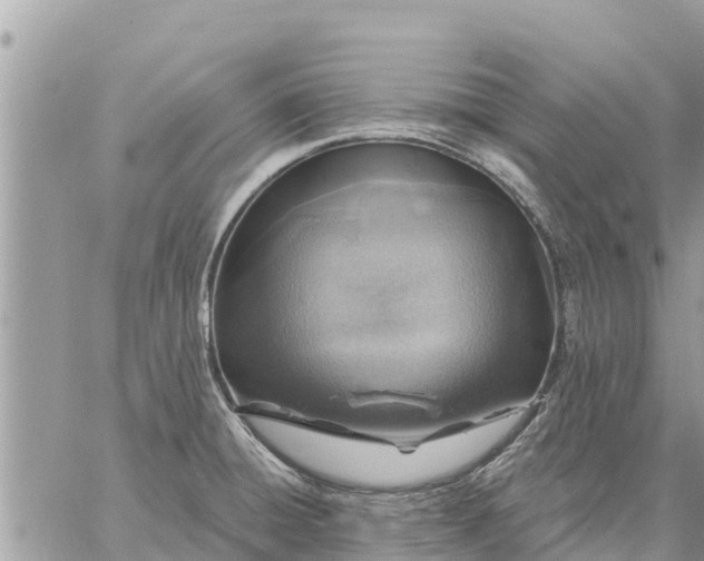 X0000059101428200510172108