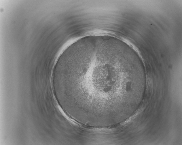 X0000059101429200510172108