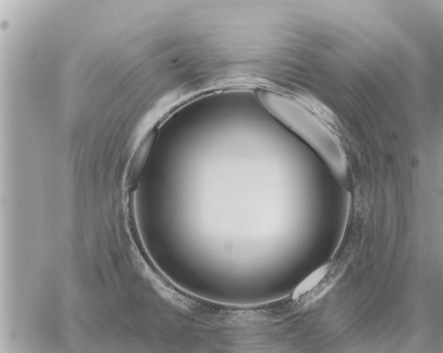 X0000059101430200510172108