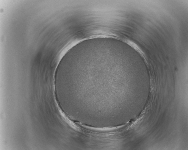 X0000059101431200510172108