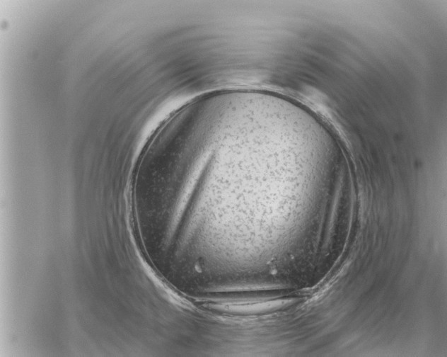 X0000059101432200510172109