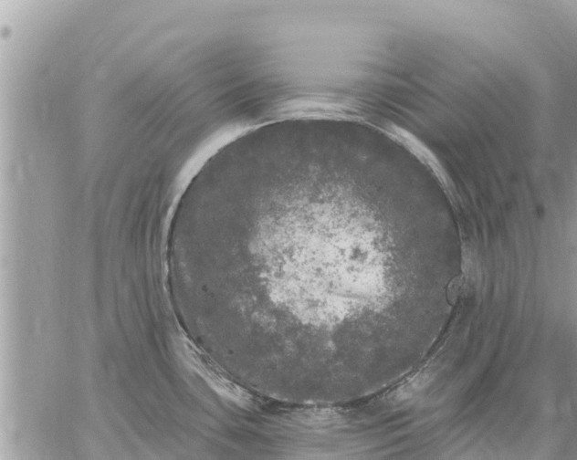 X0000059101435200510172109