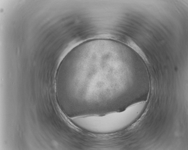 X0000059101436200510172109