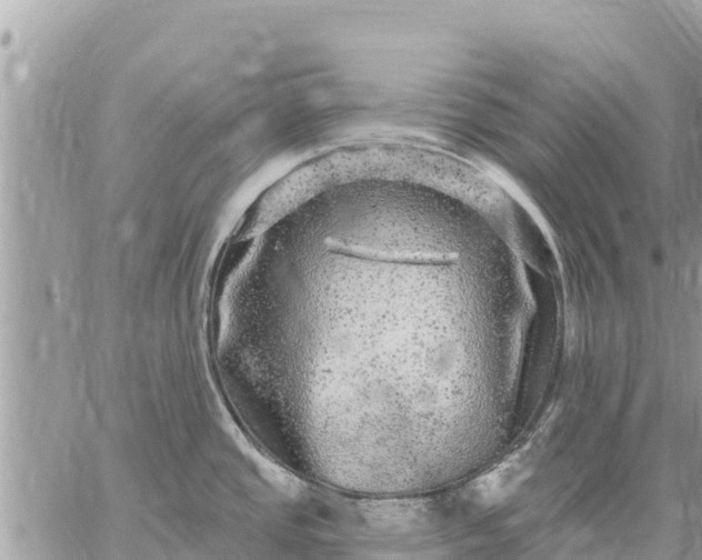 X0000059101437200510172109