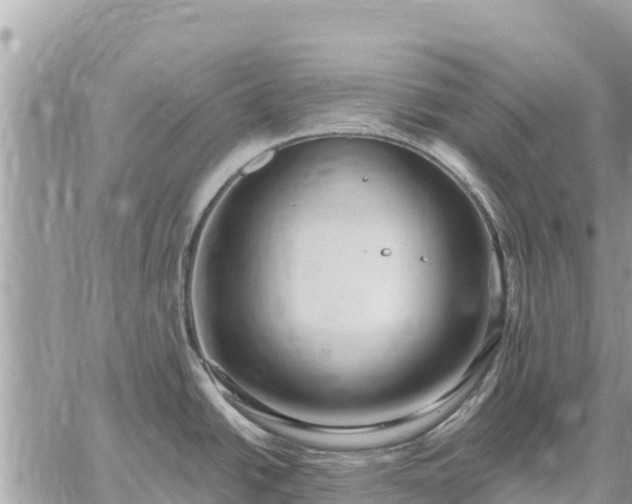 X0000059101438200510172109