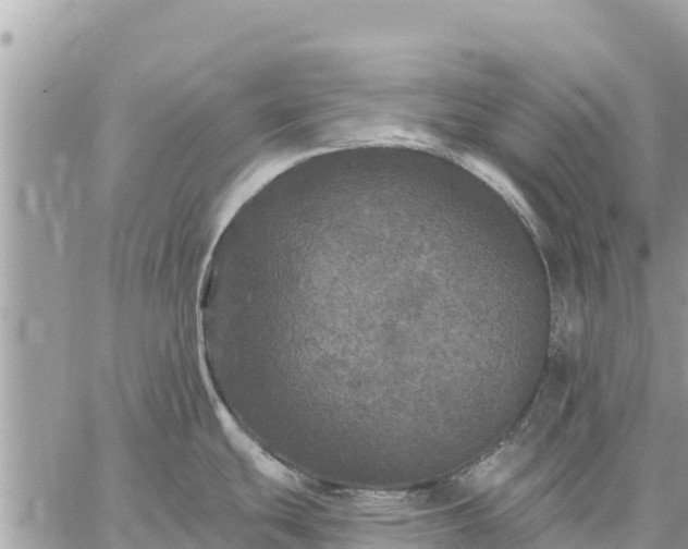 X0000059101439200510172109