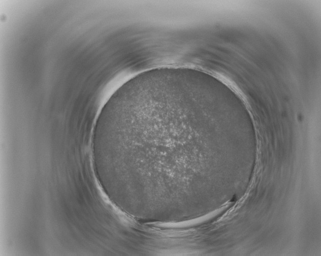 X0000059101440200510172109