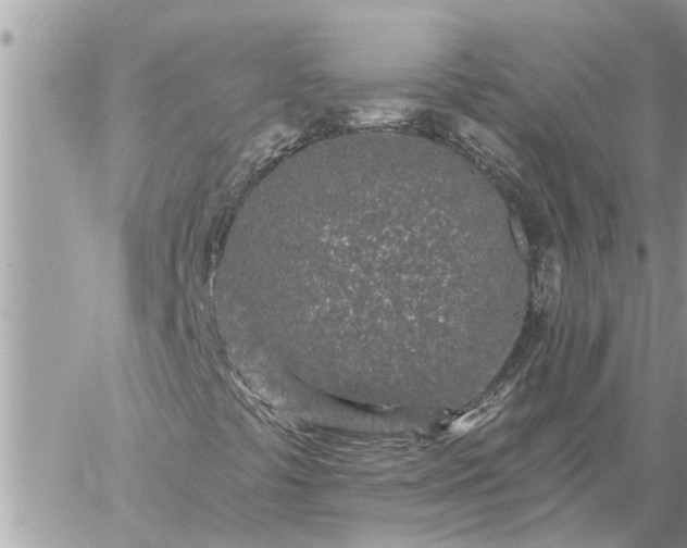 X0000059101441200510172108