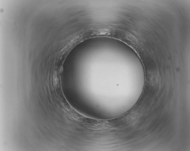 X0000059101442200510172108