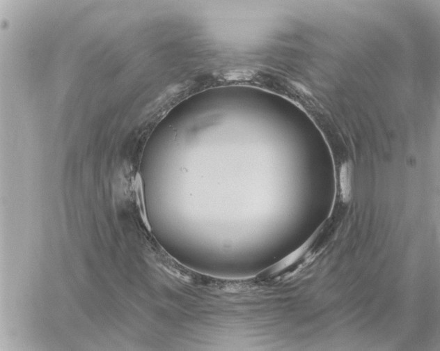 X0000059101443200510172108