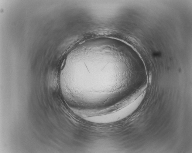 X0000059101444200510172108
