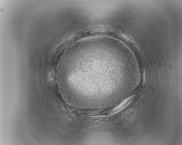 X0000059101445200510172108