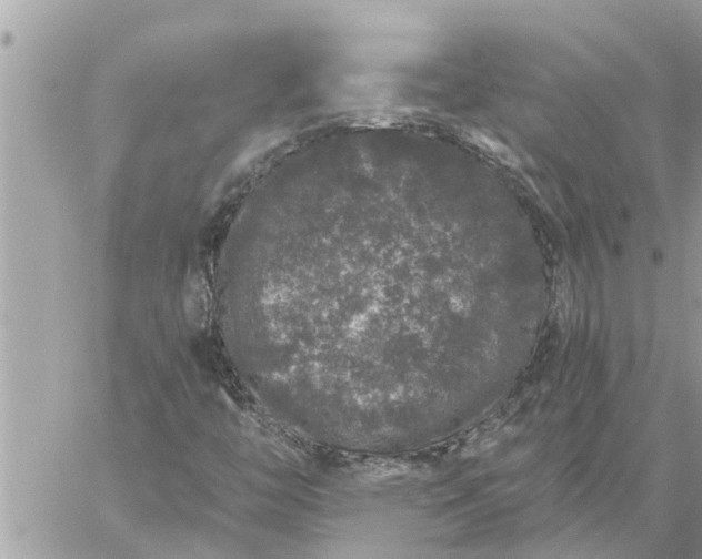 X0000059101446200510172108