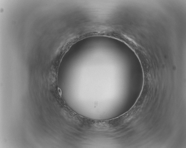 X0000059101447200510172108