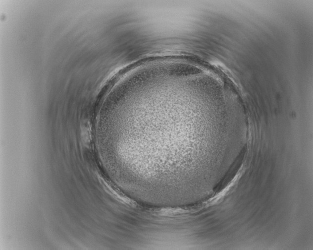 X0000059101449200510172108