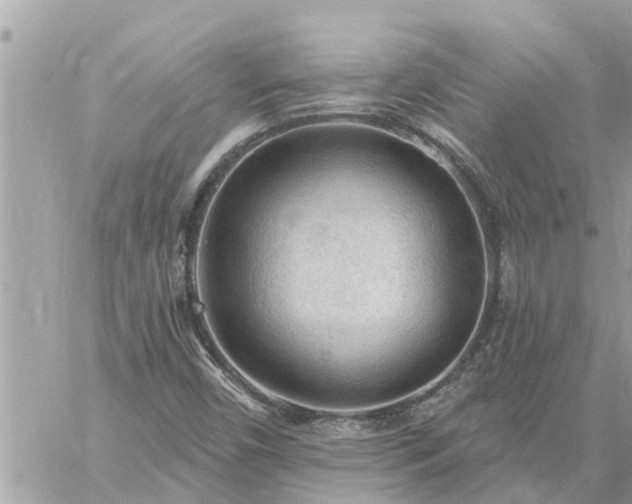 X0000059101450200510172108