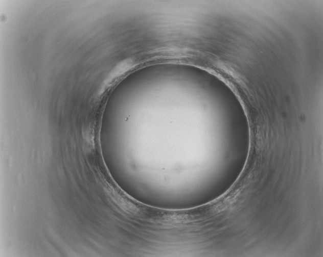 X0000059101451200510172108