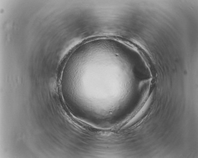 X0000059101452200510172108