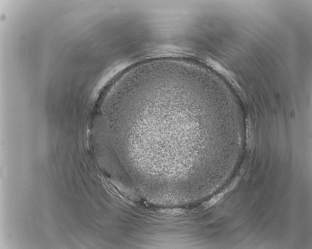 X0000059101453200510172108