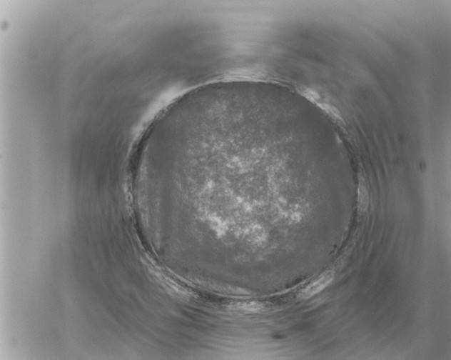 X0000059101454200510172108