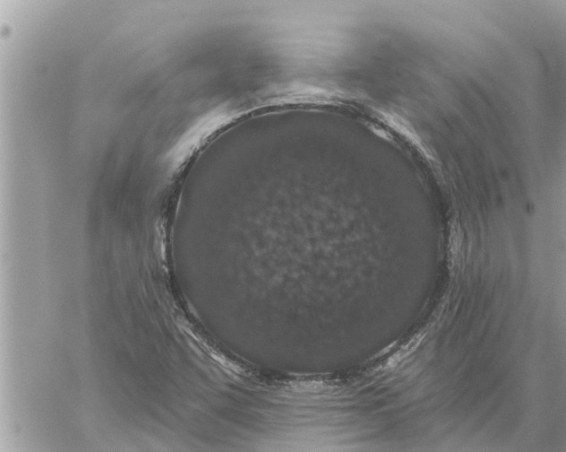 X0000059101455200510172108