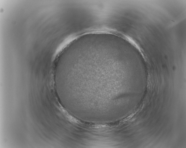 X0000059101456200510172108