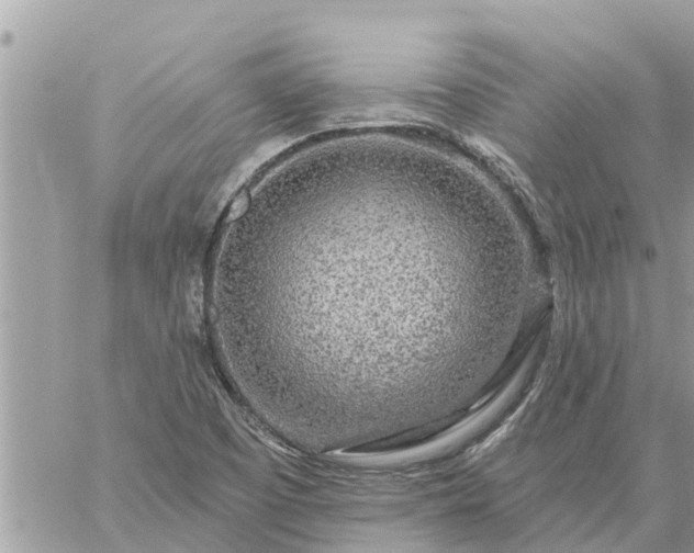 X0000059101457200510172108