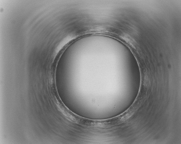 X0000059101458200510172108