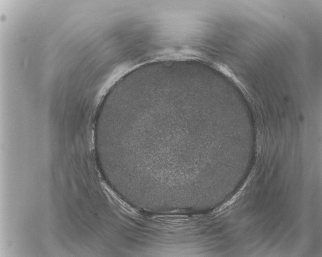 X0000059101459200510172108