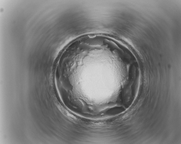 X0000059101460200510172108