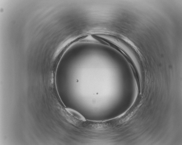 X0000059101461200510172108