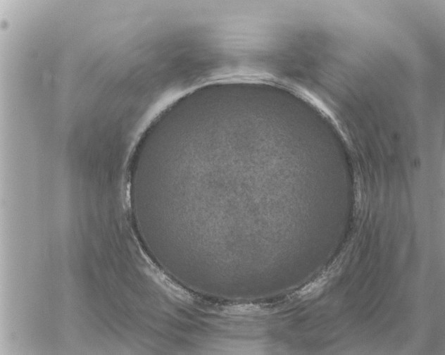 X0000059101462200510172108