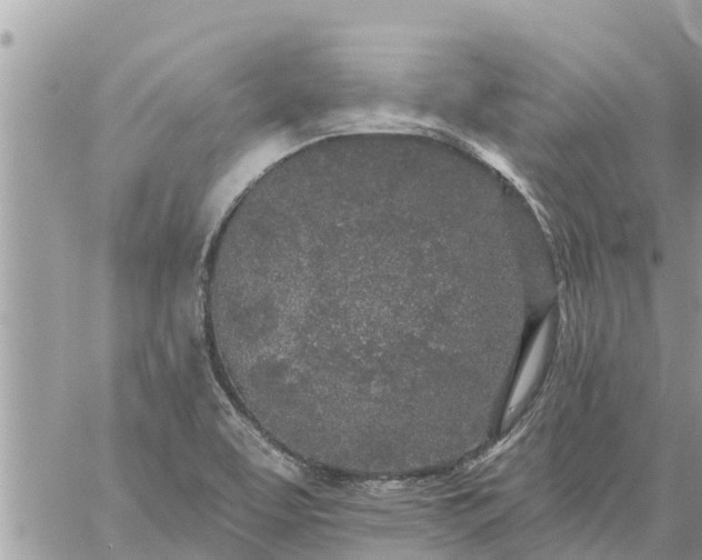 X0000059101463200510172107