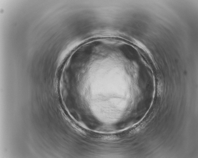 X0000059101464200510172107