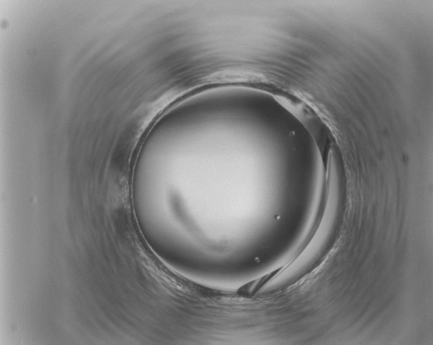 X0000059101465200510172107