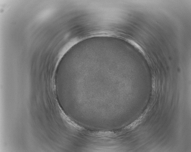 X0000059101466200510172107